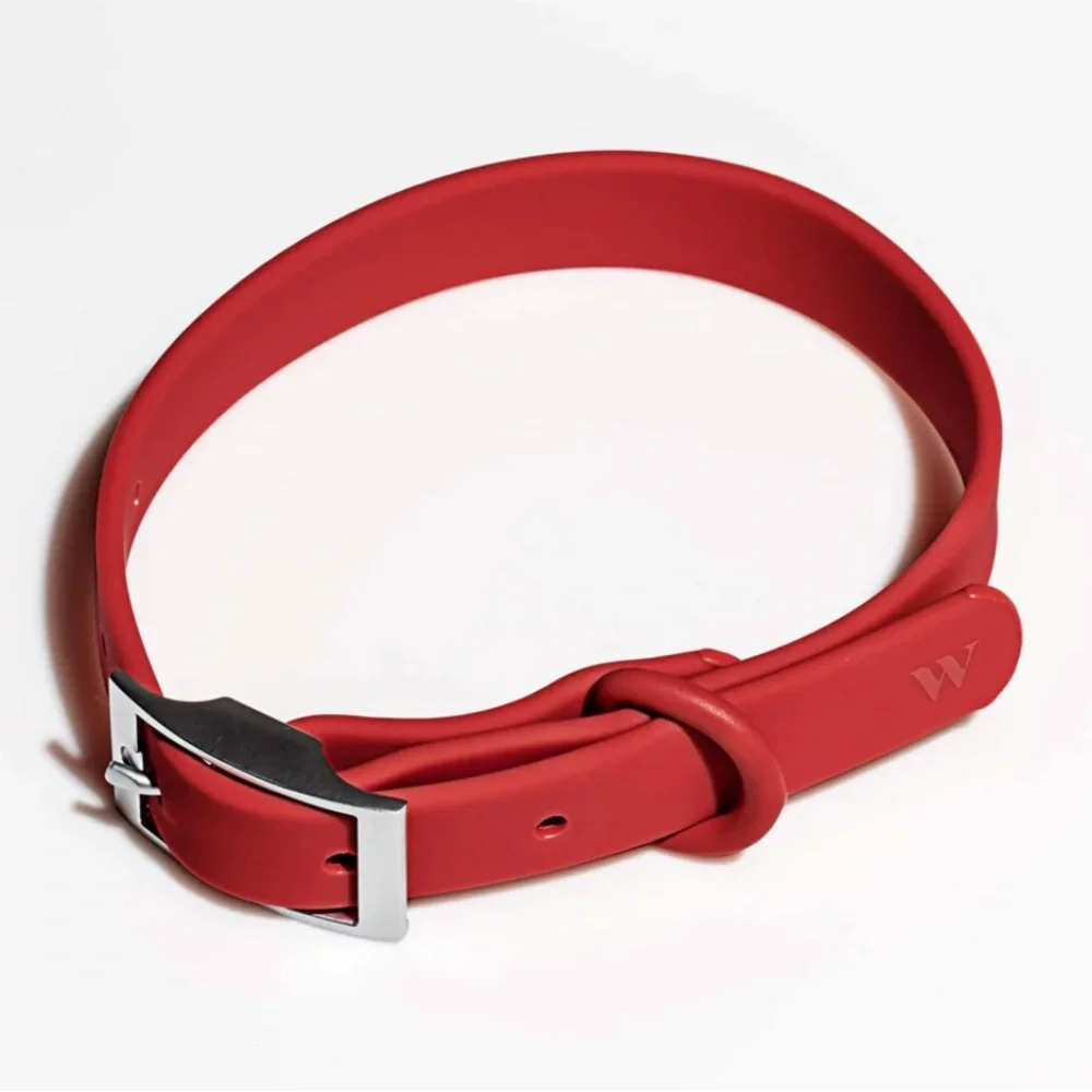 Wild One Dog Collar - XL (18-23